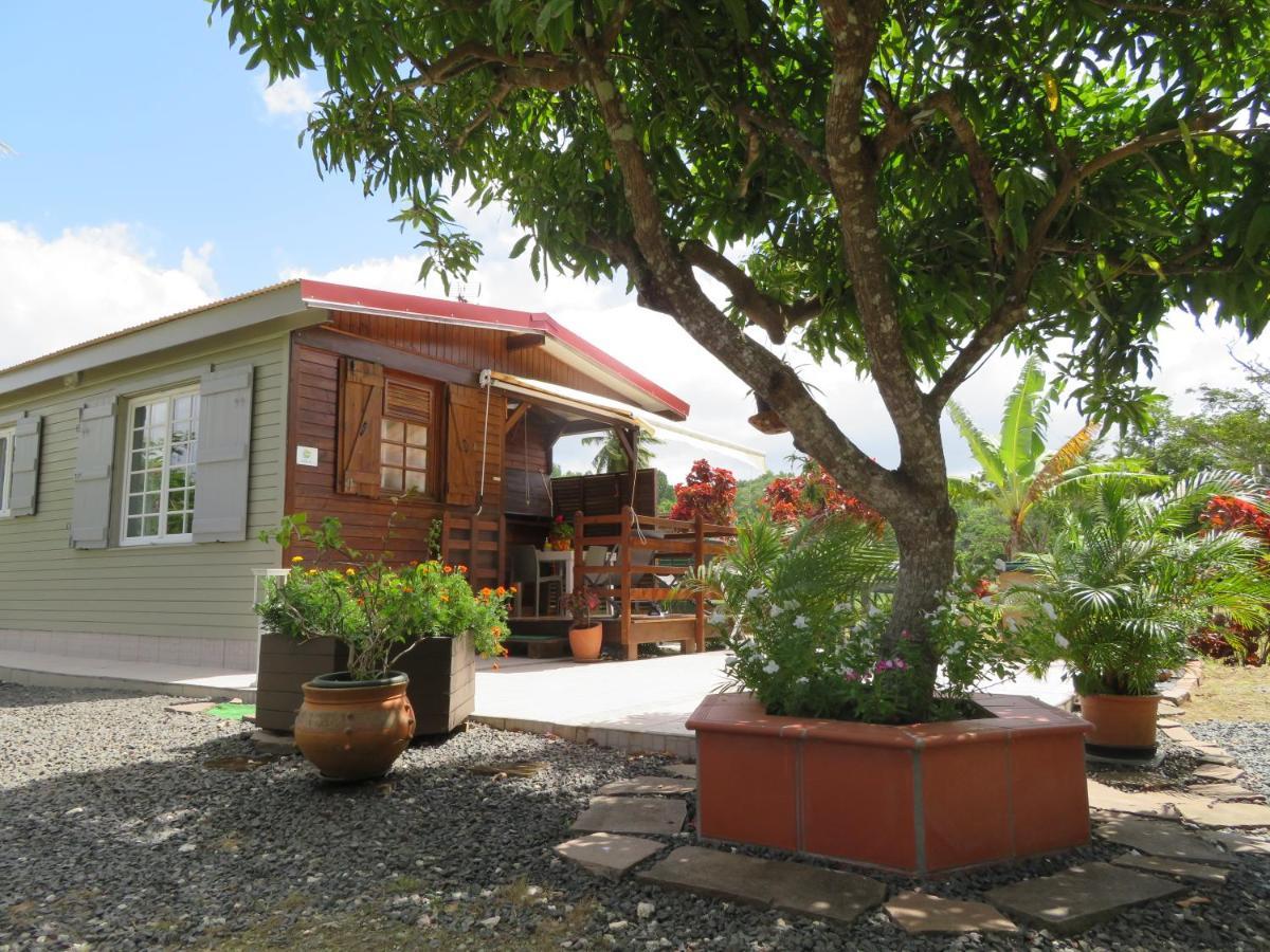 Bungalow Des Paletuviers Morne-a-l'Eau Экстерьер фото